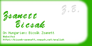 zsanett bicsak business card